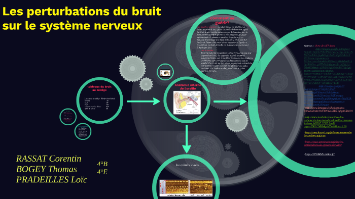 Les perturbation du bruit sur le système nerveux by Fred Galban on Prezi