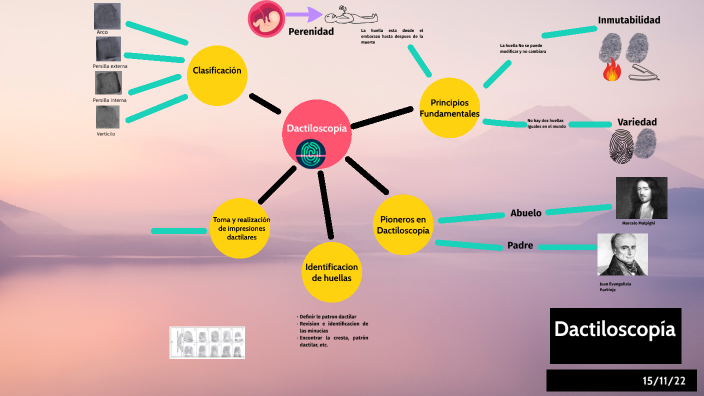 Mapa Mental Dactiloscopía by Andrea Gonzalez cortes on Prezi Next