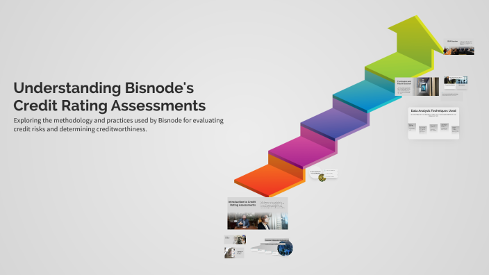 Understanding Bisnode's Credit Rating Assessments by Kyriakos ...