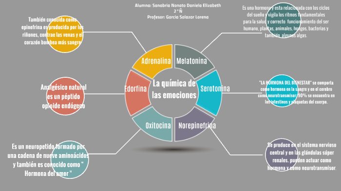 quimica de las emociones by Bere López UVM on Prezi