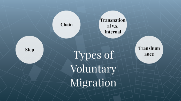 different-types-of-migration-by-rachel-singh