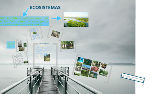 Ecosistemas de Oaxaca by Skslucasc Hernandez on Prezi