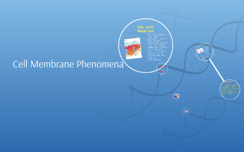 Cell Membrane Phenomena by angel witter on Prezi