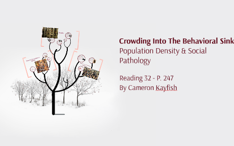 Crowding The Behavioral Sink by Cameron Kayfish on Prezi