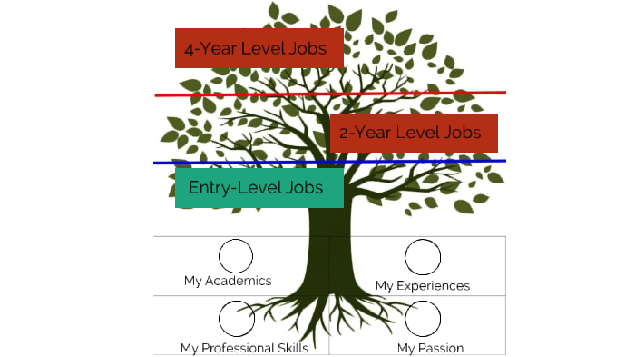 Career Tree by Trenton Pierce on Prezi
