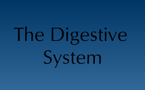 Digestive System Final by Nick ....... on Prezi