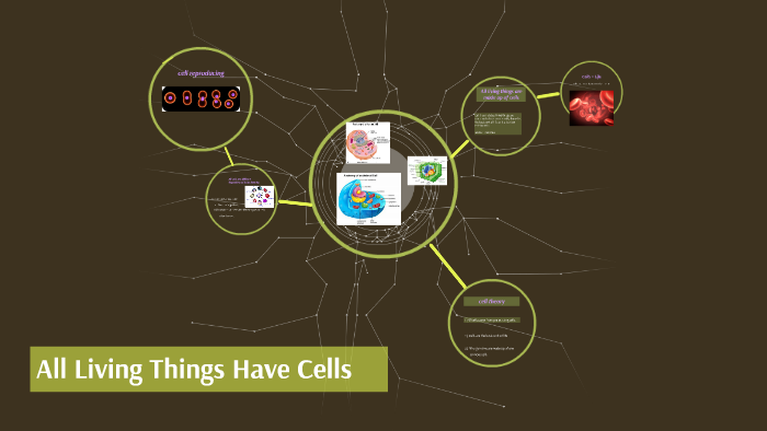 what are the four things that all living cells have in common