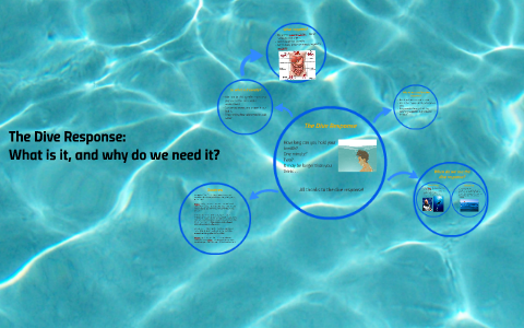 The Dive Response: what is it and why do we need it? by Charlotte Buckles