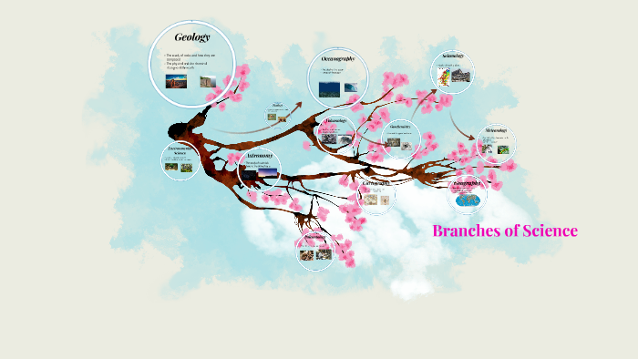 Branches of Science by Ella Helm on Prezi