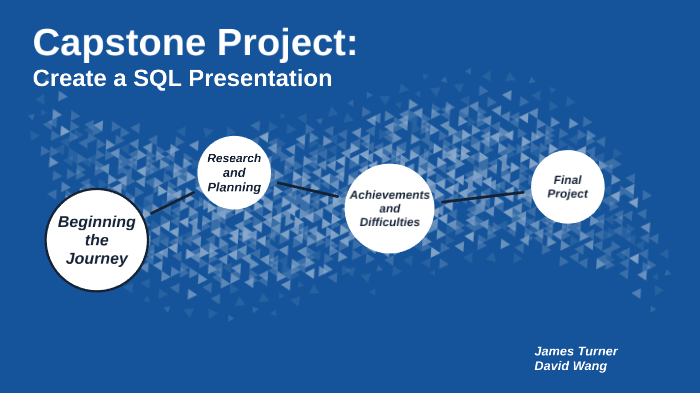 capstone project sql