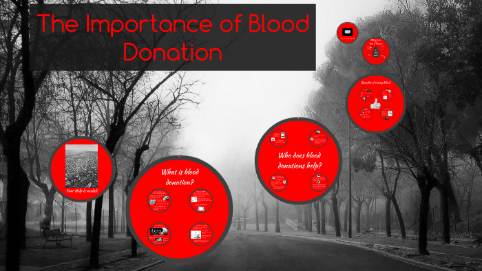 the-importance-of-blood-donation-by-rachael-smith