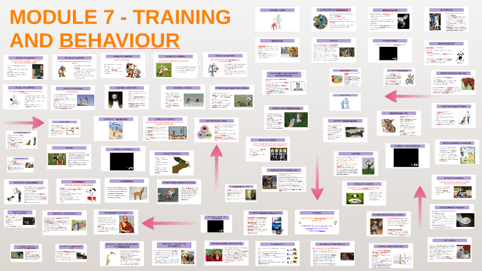 MODULE 7 - BEHAVIOUR by Andy Krywawych on Prezi