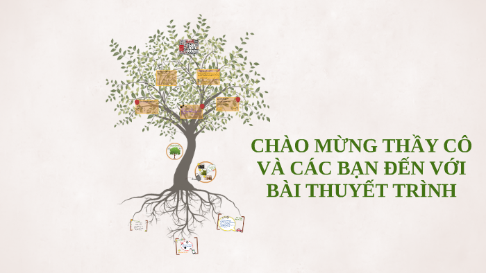 CHÀO MỪNG THẦY CÔ VÀ CÁC BẠN ĐẾN VỚI BÀI THUYẾT TRÌNH by TRINH NGOCHAN ...