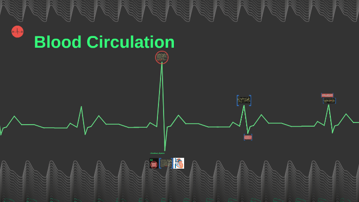 Blood Circulation by Cedric Salvador