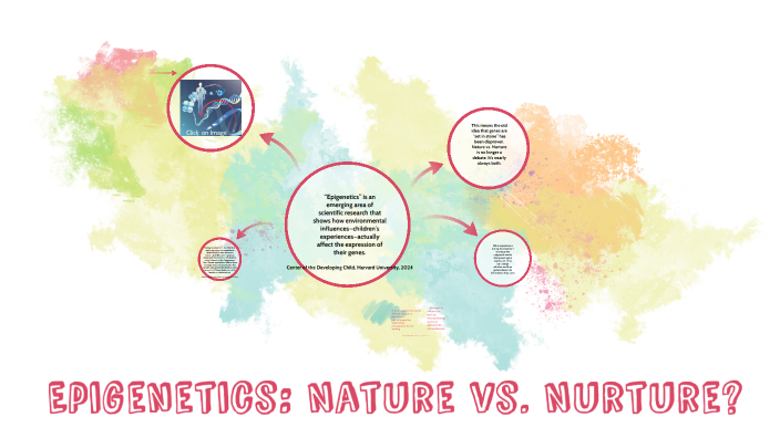 Epigenetics Nature Vs Nurture By Vila Chris On Prezi