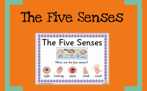 The Five Senses by Tania Crouch on Prezi