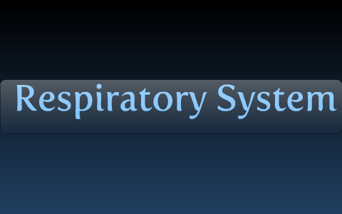 Respiratory System by Kaitlyn Aldrich on Prezi