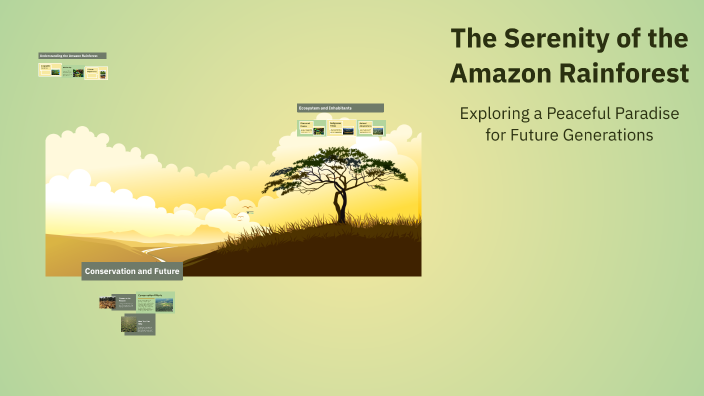 The Serenity of the Amazon Rainforest by Adam Azorbo on Prezi