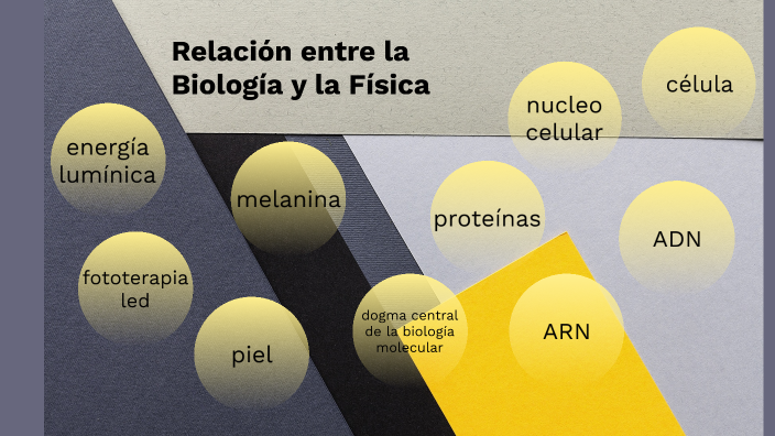 relación de física, biología y charla by awante el guisito sin kalne pa