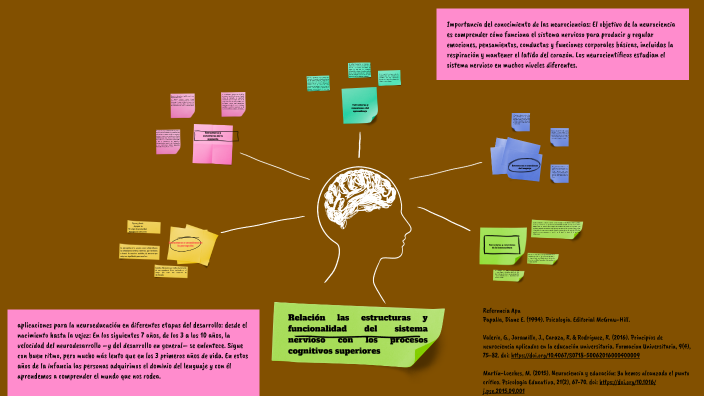 Relación de las estructuras y funcionalidad del sistema nervioso con ...