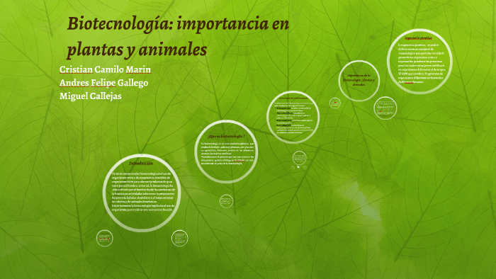 biotecnología: importancia en plantas y animales by cristian marin on Prezi