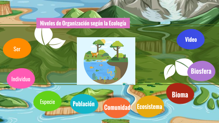 Niveles de organización de un ecosistema by G romo on Prezi