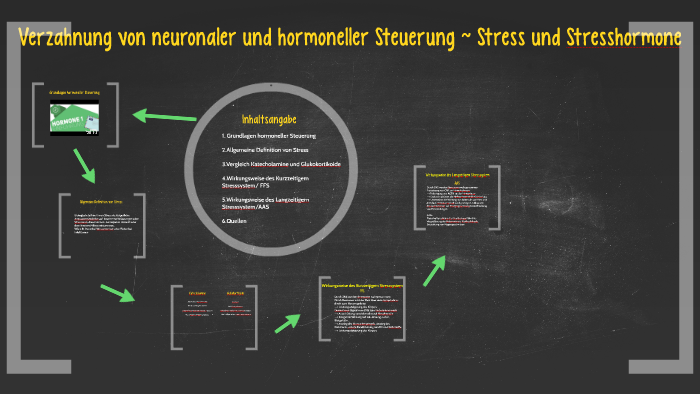 Verschränkung Hormoneller Und Neuronaler Steuerung
