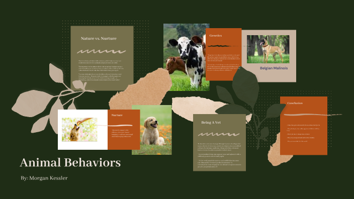 Animal Behaviors by Morgan Kessler on Prezi
