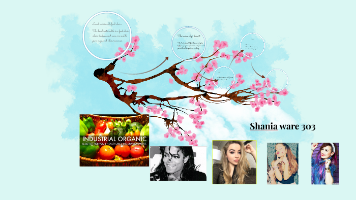 Local sustainable food chain by shania ware on Prezi