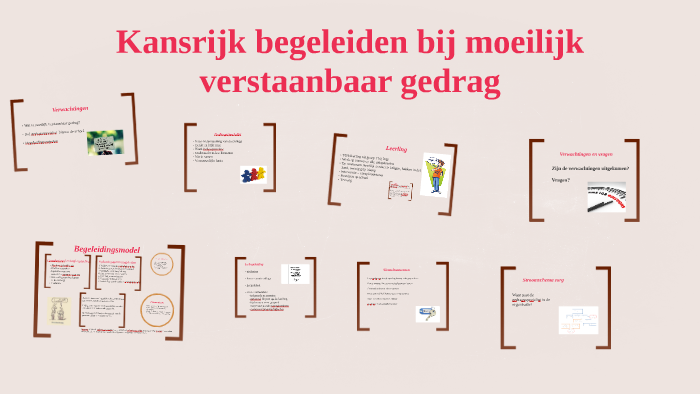Kansrijk begeleiden bij moeilijk verstaanbaar gedrag by Marloes de