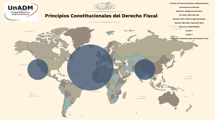 Principios Constitucionales Del Derecho Fiscal By Mercedes Toquiantzi