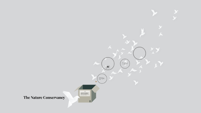 The Nature Conservancy by Kelsey Salsman on Prezi