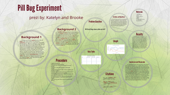 pill bug light vs. dark experiment