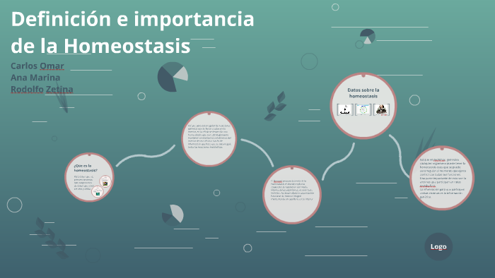 Definición E Importancia De La Homeostasis By Carlos Omar Vásquez Cruz ...