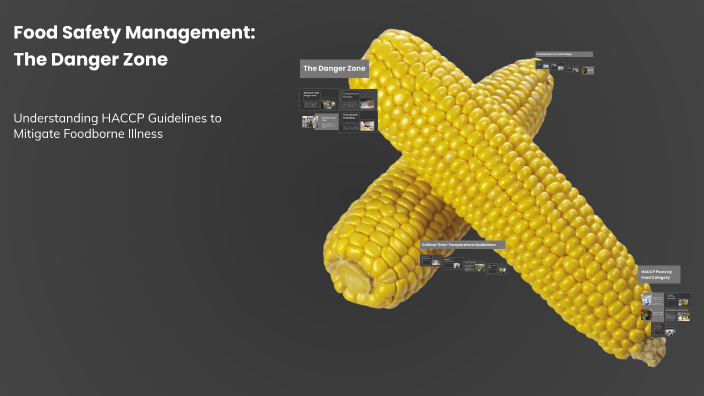 Food Safety Management: The Danger Zone by Mohammad Altamimi on Prezi