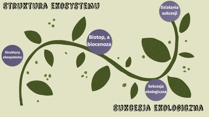 Sukcesja Ekologiczna Wtórna Struktura ekosystemu. Sukcesja ekologiczna by Roxi Roksanka on Prezi