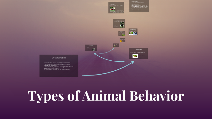 types-of-animal-behavior-by-kathy-ronquillo