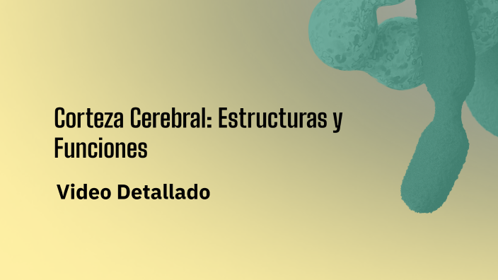 Corteza Cerebral: Estructuras y Funciones by Cindy Soriano on Prezi