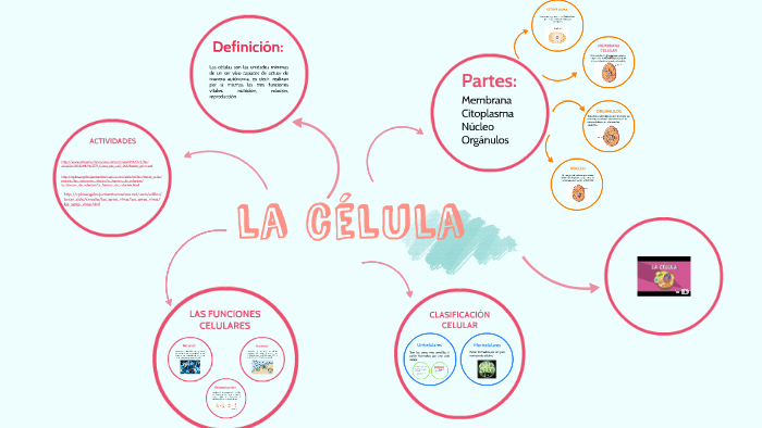 la celula by Ana Buj on Prezi