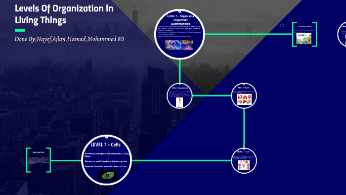 Levels Of Organization In Living Things by nayef sharshani on Prezi