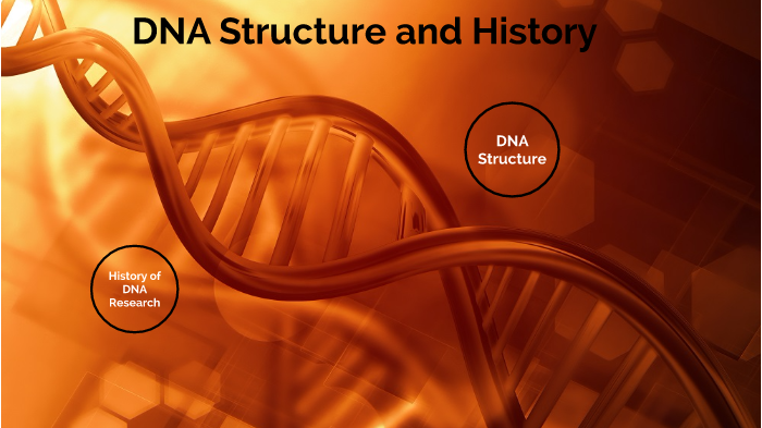 history-and-structure-of-dna-by-aidan-carey