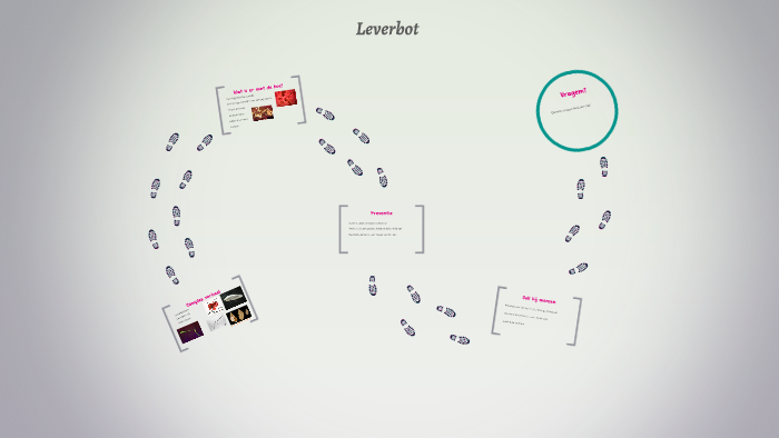 Leverbot by bouke jansen on Prezi