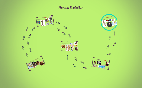 Human Evolution 4/5 Marisa Brownstein by Marisa Brownstein on Prezi