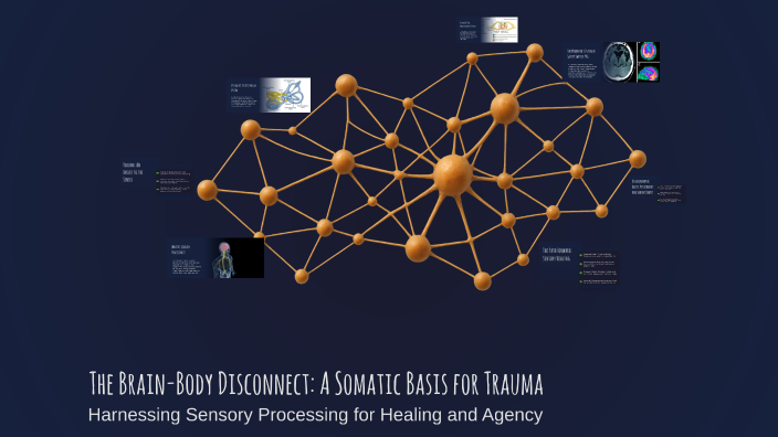 The Brain-Body Disconnect: A Somatic Basis for Trauma by Georgi Harries ...