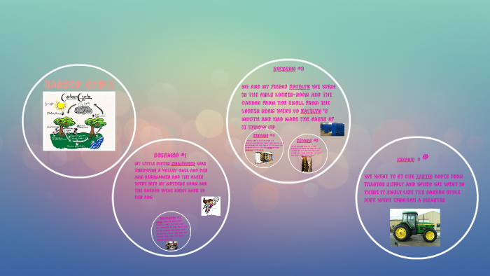 Shawntelle Brandon's Carbon Cycle by shawntelle brandon on Prezi