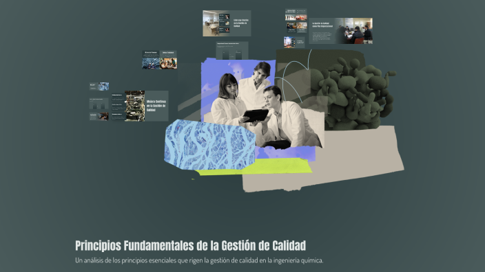 Principios Fundamentales de la Gestión de Calidad by SAMUEL CORONA ...