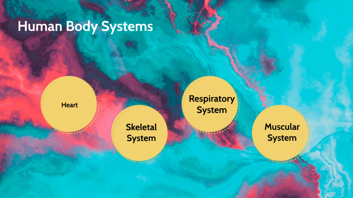 Human Body Systems by Abdias Monterroso on Prezi Biology Diagrams