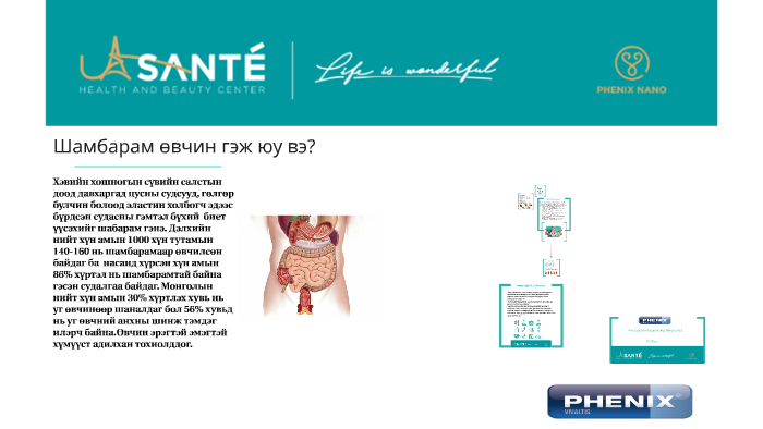 Шамбарам өвчин гэж юу вэ? by Od Bo on Prezi