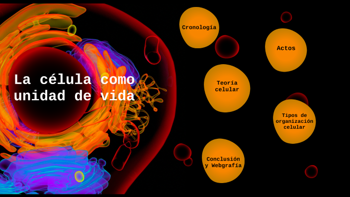La célula como unidad de vida by Samanta Real Real on Prezi