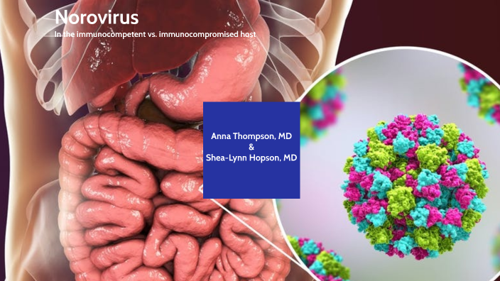 norovirus presentation prezi